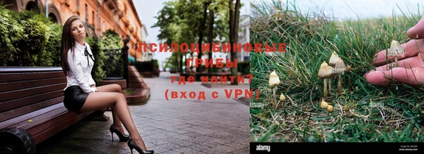 прущая мука Тихвин