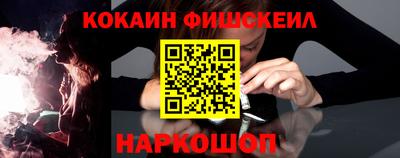 стафф Кингисепп