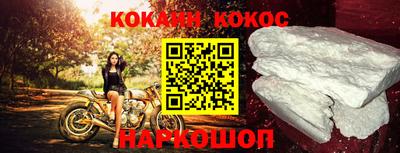 стафф Кингисепп