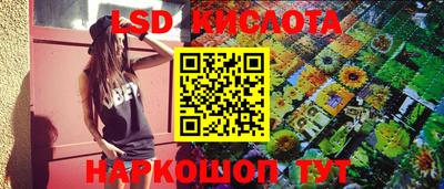 стафф Кингисепп