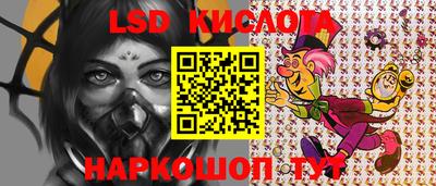 стафф Кингисепп