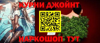 стафф Кингисепп