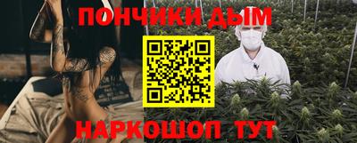 стафф Кингисепп