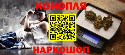 стафф Кингисепп