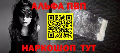 стафф Кингисепп