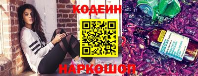 стафф Кингисепп