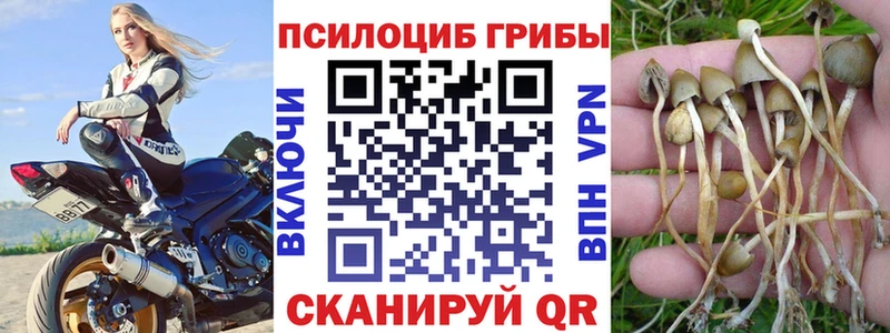 Псилоцибиновые грибы мухоморы  закладки  Мариинск 