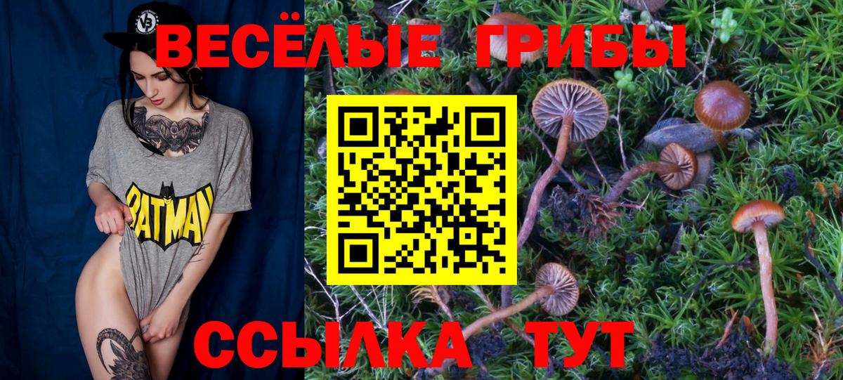 Псилоцибиновые грибы MAGIC MUSHROOMS Мариинск