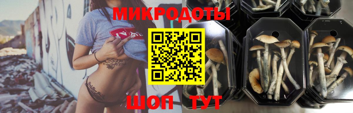 Галлюциногенные грибы мицелий  Вход с VPN  магазин  наркотиков  Галлюциногенные грибы ЛСД  Мариинск 